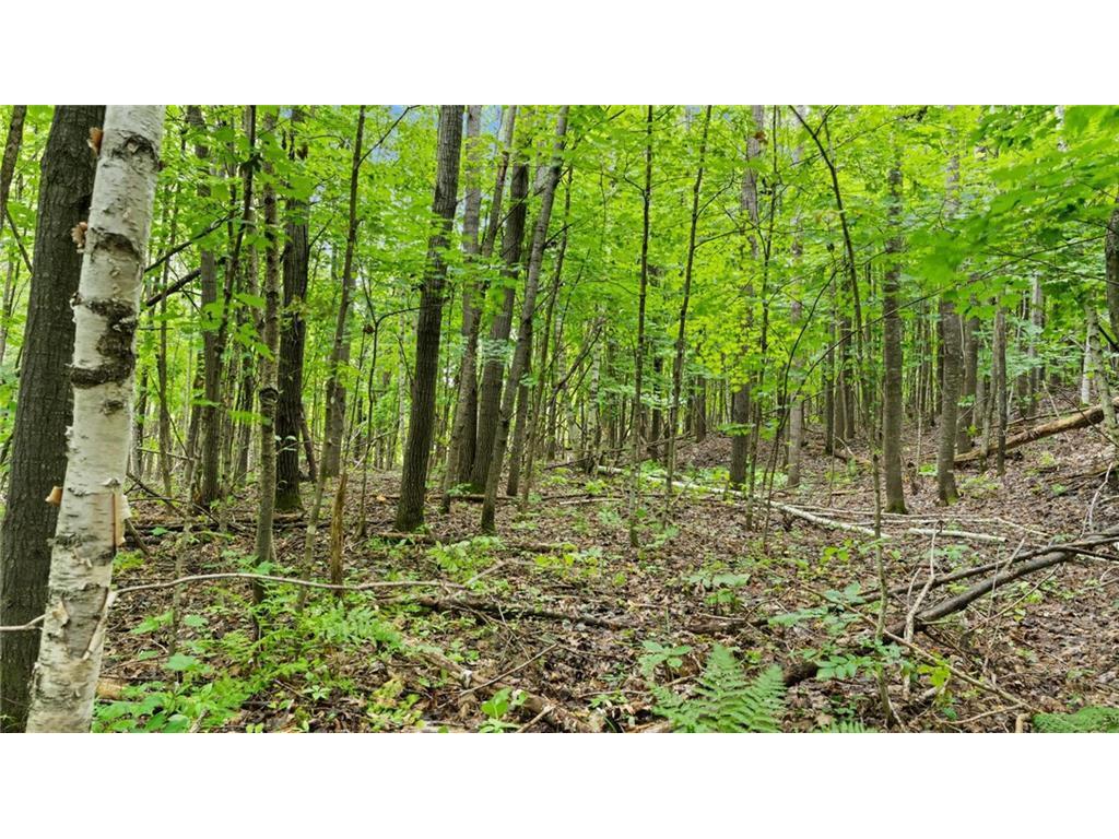 2351 Acres County Hwy C & Acres County Couderay Twp WI 54835 - Swift Creek 6786199 image42