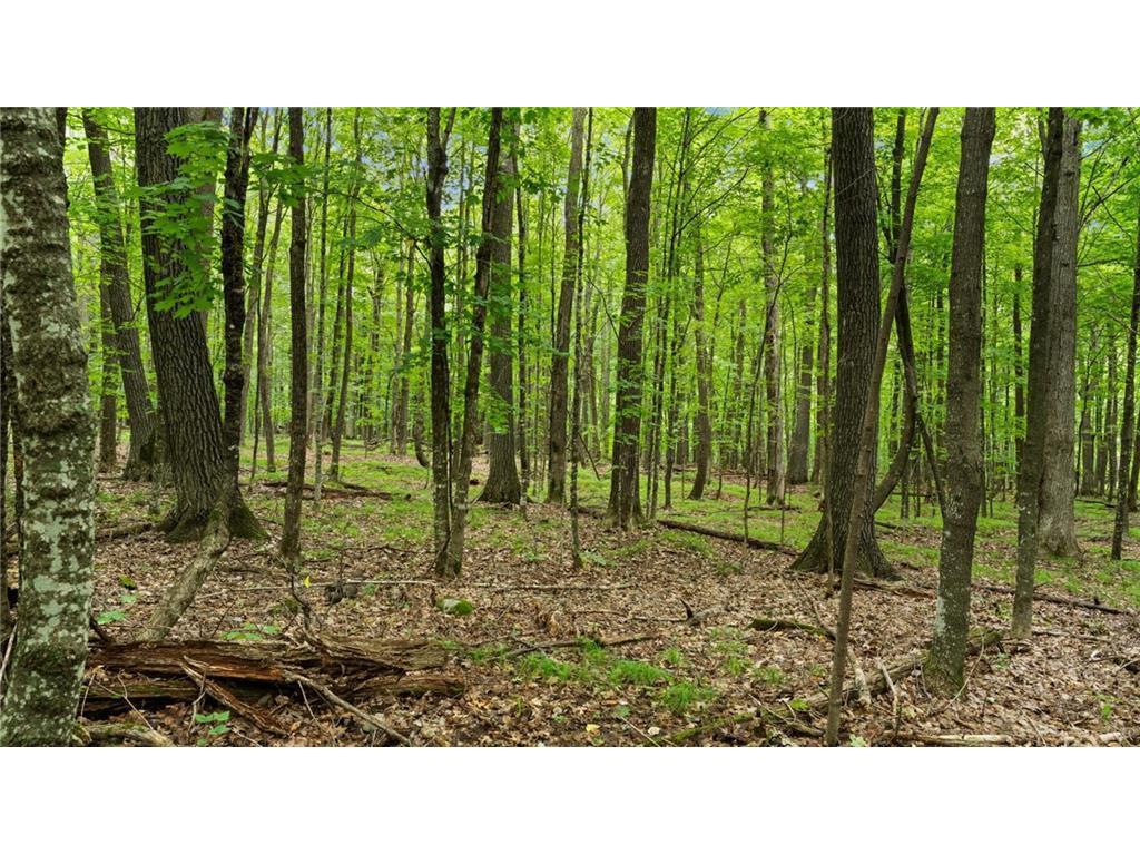 2351 Acres County Hwy C & Acres County Couderay Twp WI 54835 - Swift Creek 6786199 image45