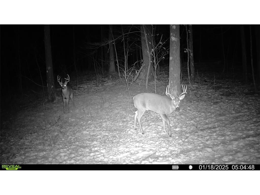 2351 Acres County Hwy C & Acres County Couderay Twp WI 54835 - Swift Creek 6786199 image47