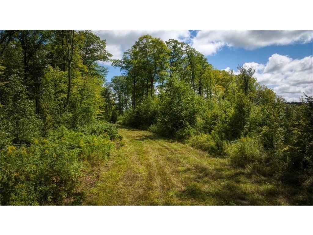 2351 Acres County Hwy C & Acres County Couderay Twp WI 54835 - Swift Creek 6786199 image51