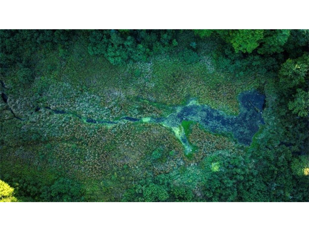 2351 Acres County Hwy C & Acres County Couderay Twp WI 54835 - Swift Creek 6786199 image54