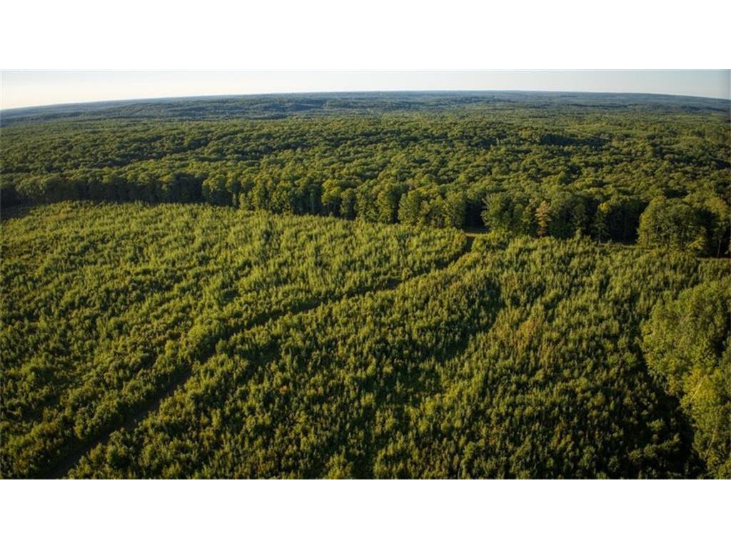 2351 Acres County Hwy C & Acres County Couderay Twp WI 54835 - Swift Creek 6786199 image56