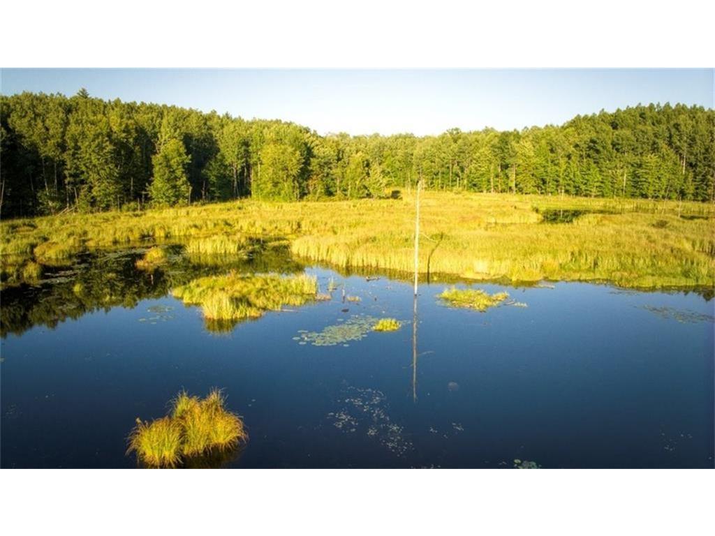 2351 Acres County Hwy C & Acres County Couderay Twp WI 54835 - Swift Creek 6786199 image8