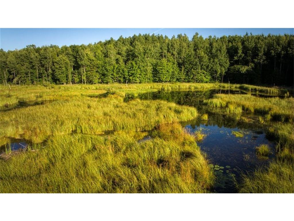 2351 Acres County Hwy C & Acres County Couderay Twp WI 54835 - Swift Creek 6786199 image9