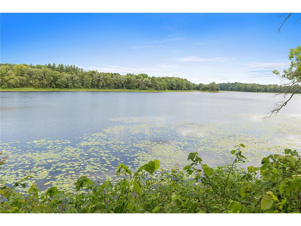 2354 305th Avenue Peace Twp MN 55051 - Lake Full of Fish 7091268 image53