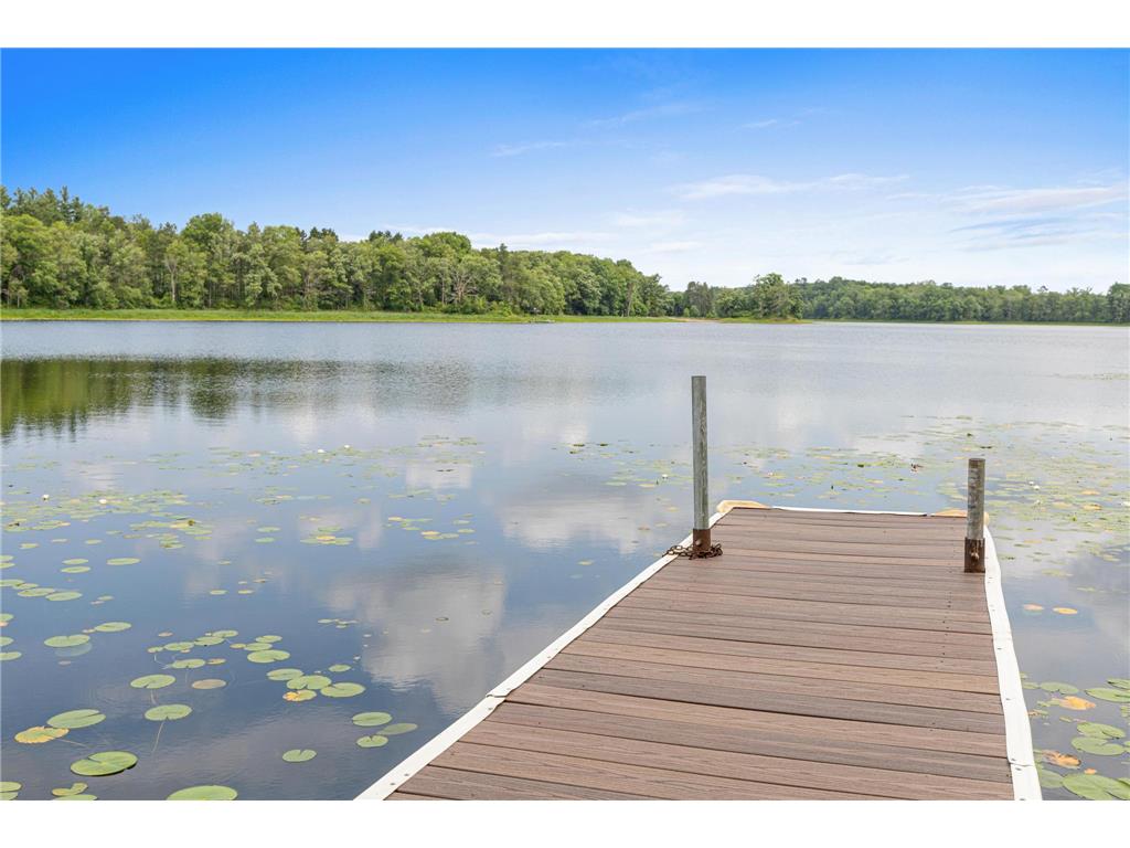 2354 305th Avenue Peace Twp MN 55051 - Lake Full of Fish 7091268 image54
