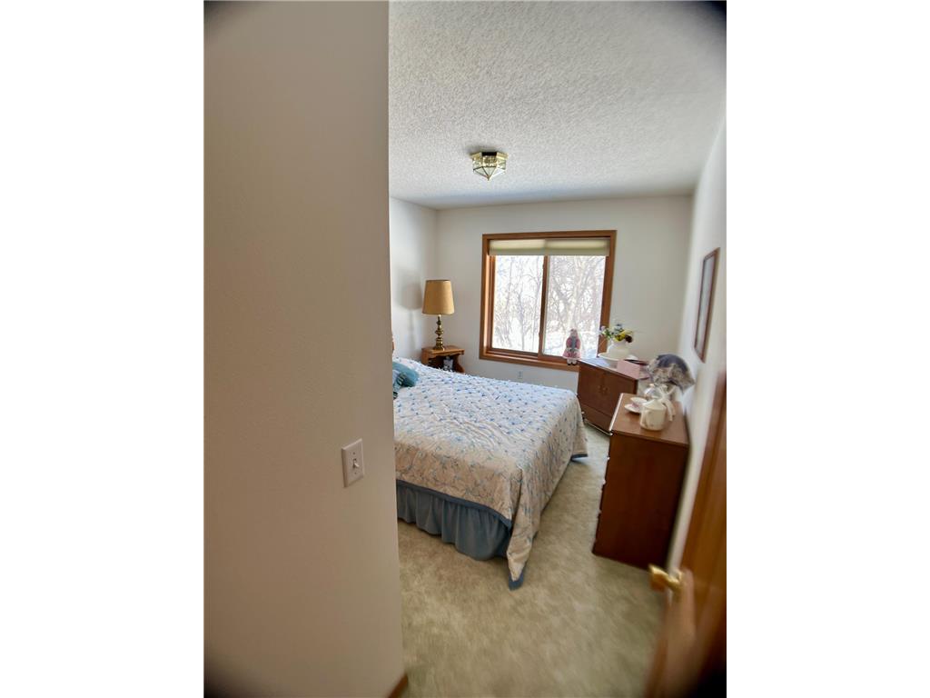 23541 Kenwood Avenue New Avon Twp MN 56293 7037765 image49