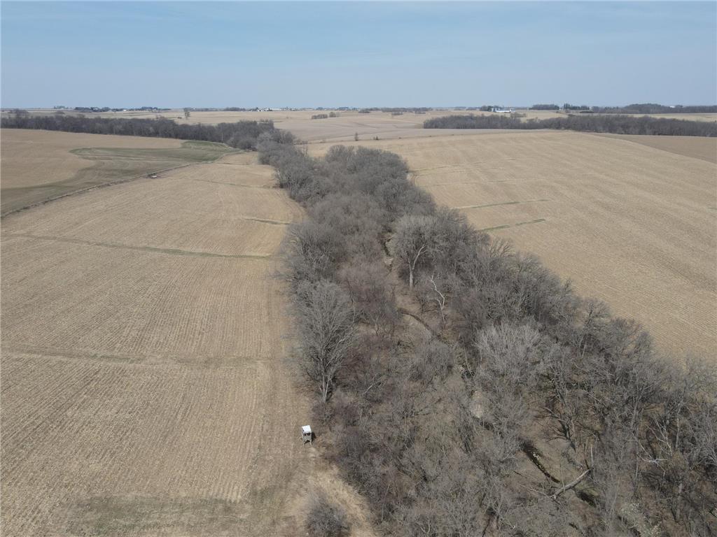 XXXXX County 117 Fountain Twp MN 55965 6353541 image1