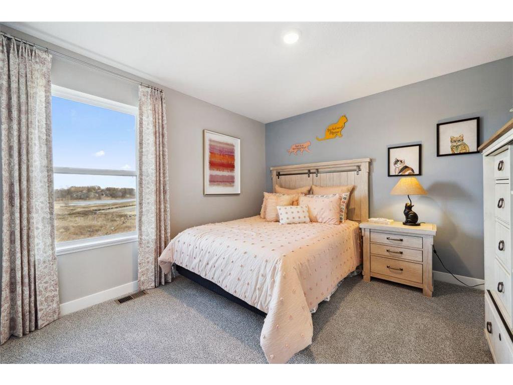 23548 Ashbury Drive Rogers MN 55374 6806013 image33