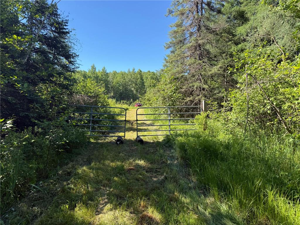 2359 County Road 8 Clear Creek Unorg. Terr. MN 55749 7110564 image19