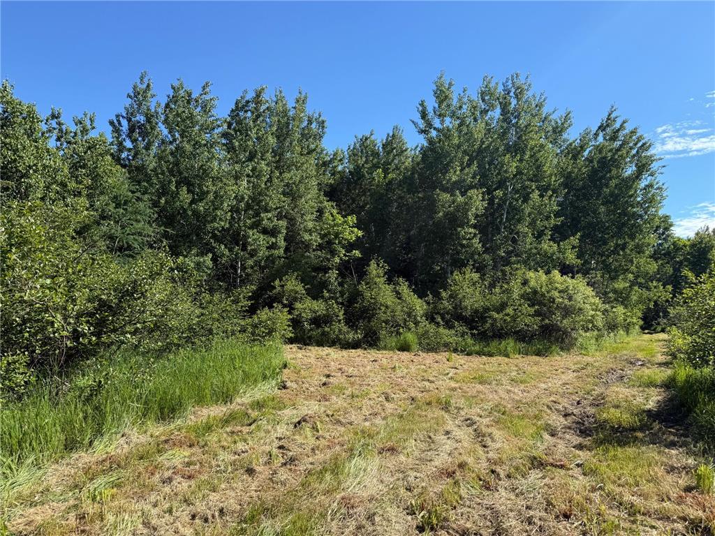 2359 County Road 8 Clear Creek Unorg. Terr. MN 55749 7110564 image20