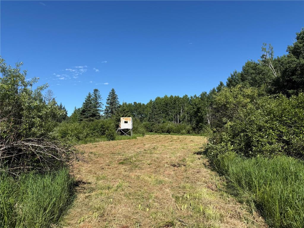 2359 County Road 8 Clear Creek Unorg. Terr. MN 55749 7110564 image21