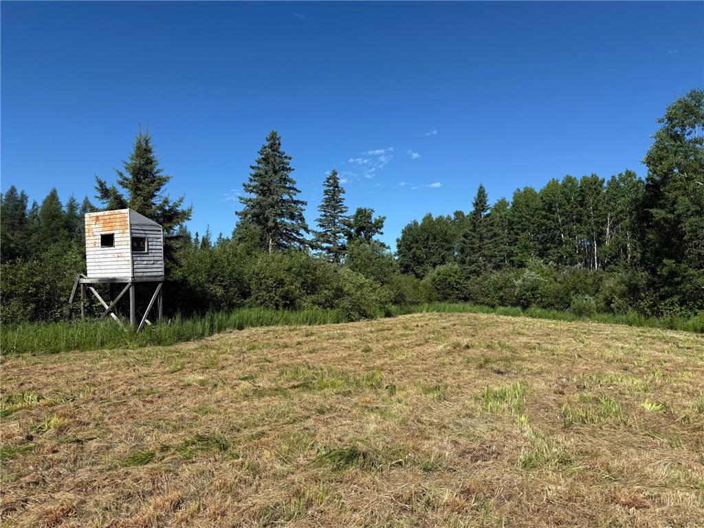 2359 County Road 8 Clear Creek Unorg. Terr. MN 55749 7110564 image22