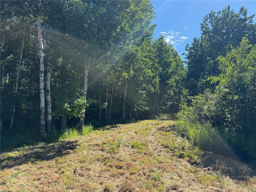 2359 County Road 8 Clear Creek Unorg. Terr. MN 55749 7110564 image23