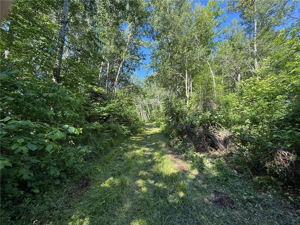 2359 County Road 8 Clear Creek Unorg. Terr. MN 55749 7110564 image24