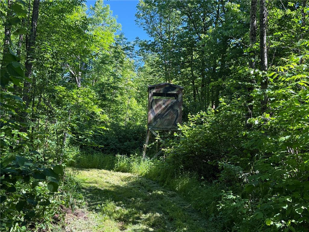 2359 County Road 8 Clear Creek Unorg. Terr. MN 55749 7110564 image25