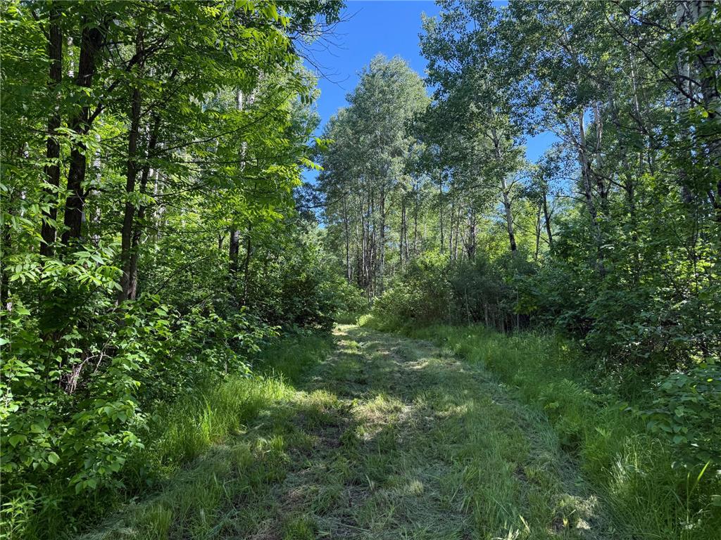 2359 County Road 8 Clear Creek Unorg. Terr. MN 55749 7110564 image26