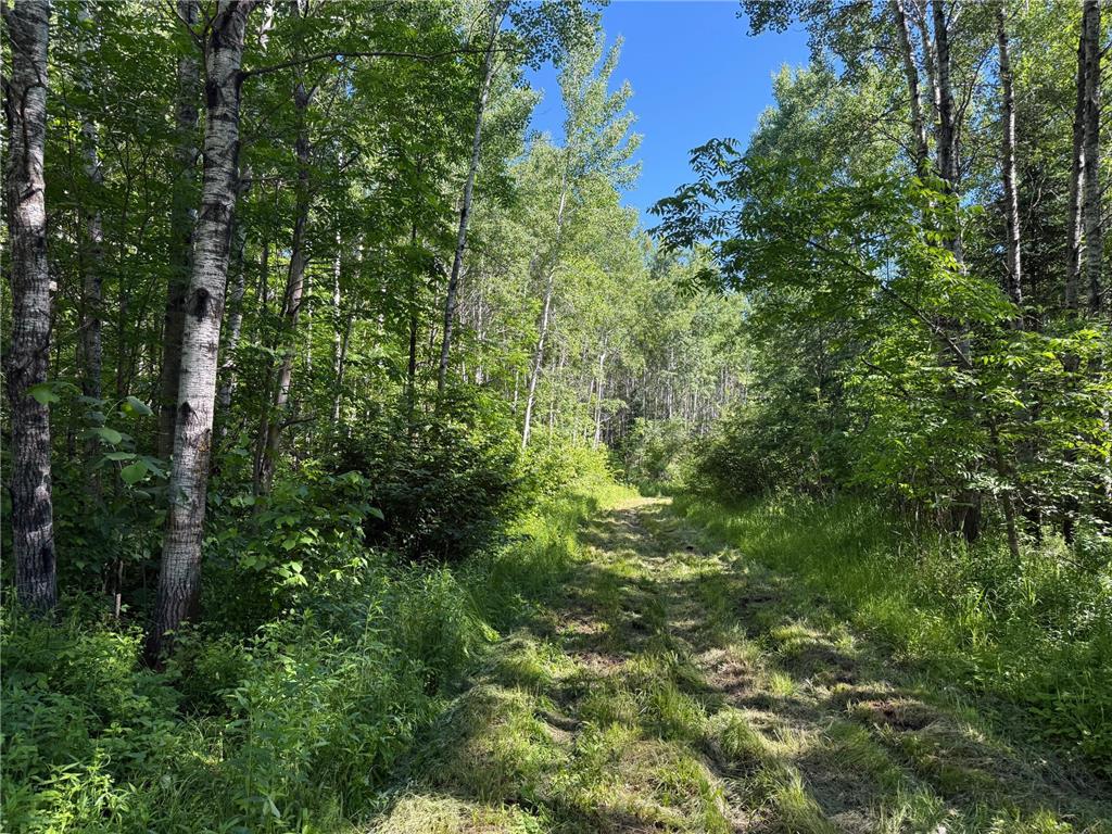 2359 County Road 8 Clear Creek Unorg. Terr. MN 55749 7110564 image27
