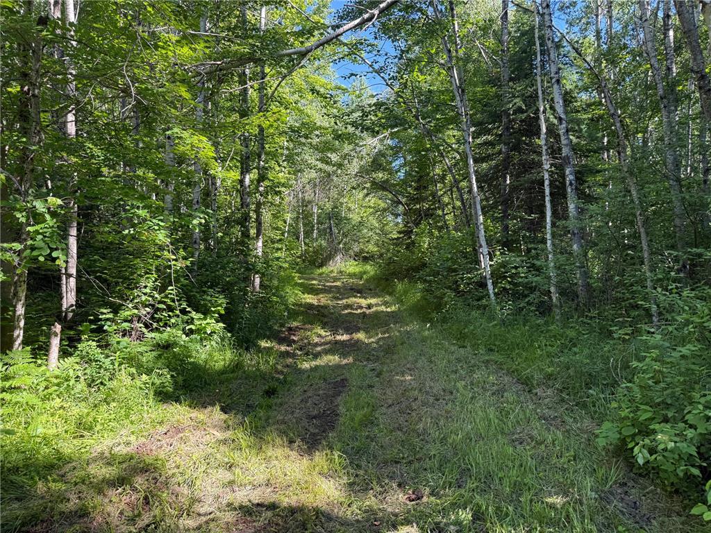 2359 County Road 8 Clear Creek Unorg. Terr. MN 55749 7110564 image28