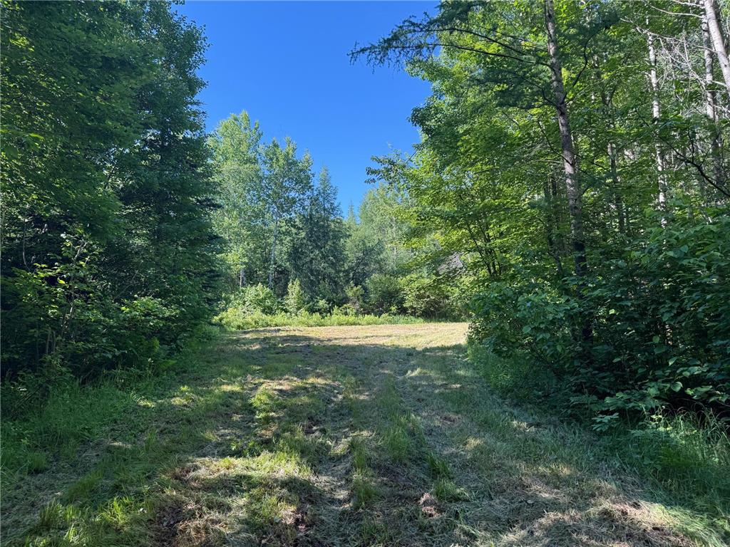 2359 County Road 8 Clear Creek Unorg. Terr. MN 55749 7110564 image29