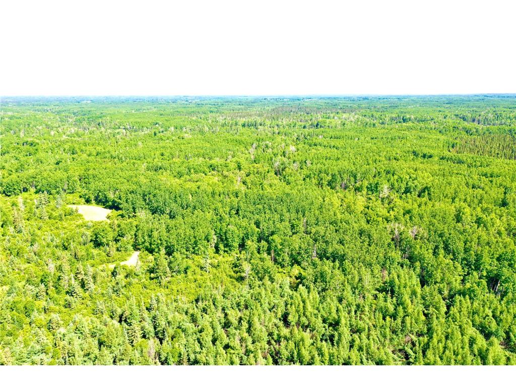 2359 County Road 8 Clear Creek Unorg. Terr. MN 55749 7110564 image3
