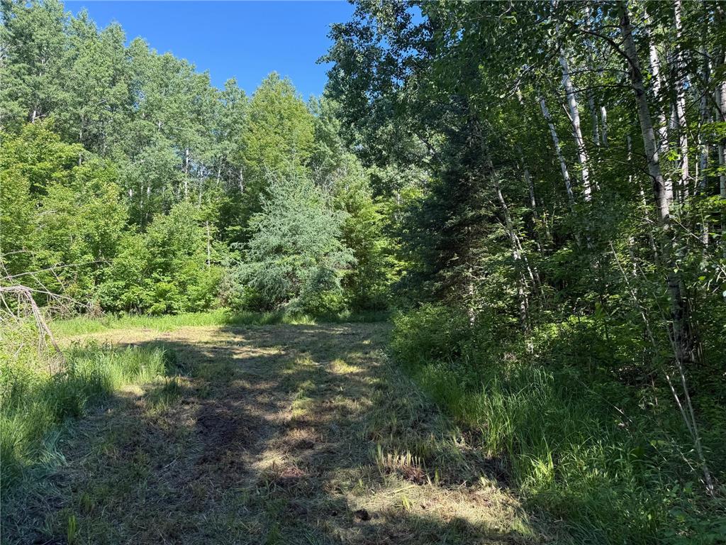 2359 County Road 8 Clear Creek Unorg. Terr. MN 55749 7110564 image30