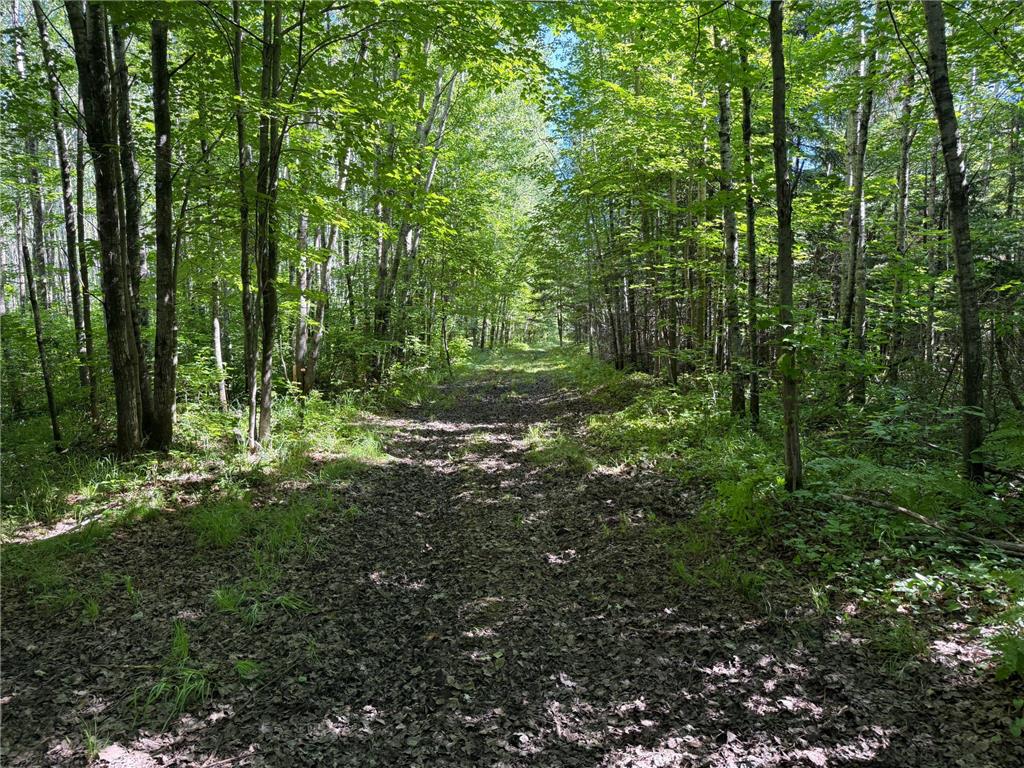 2359 County Road 8 Clear Creek Unorg. Terr. MN 55749 7110564 image31
