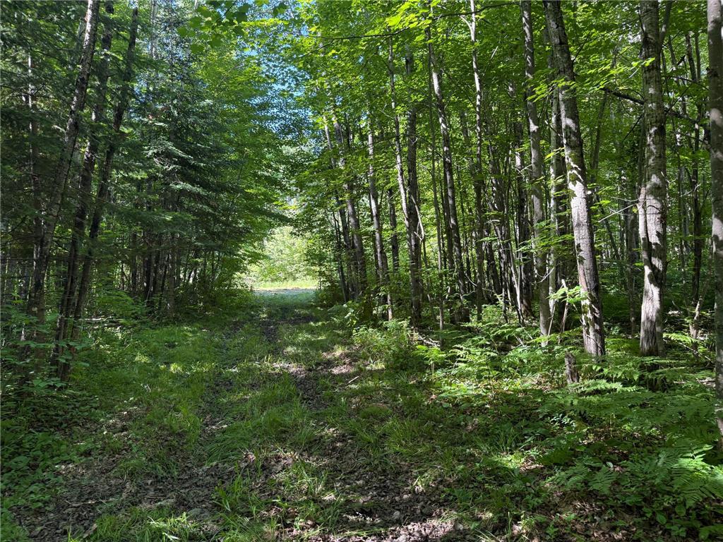 2359 County Road 8 Clear Creek Unorg. Terr. MN 55749 7110564 image32