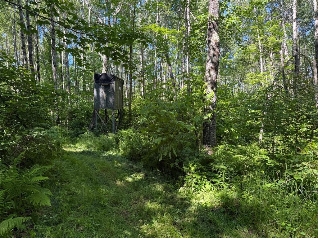 2359 County Road 8 Clear Creek Unorg. Terr. MN 55749 7110564 image33