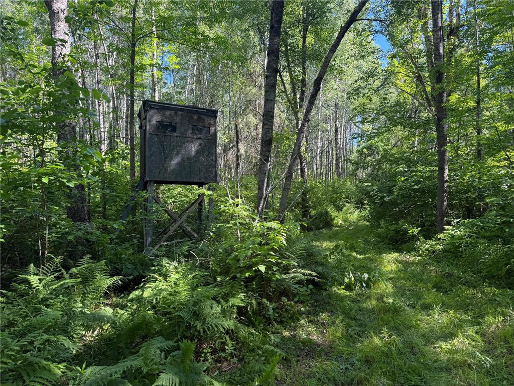 2359 County Road 8 Clear Creek Unorg. Terr. MN 55749 7110564 image34