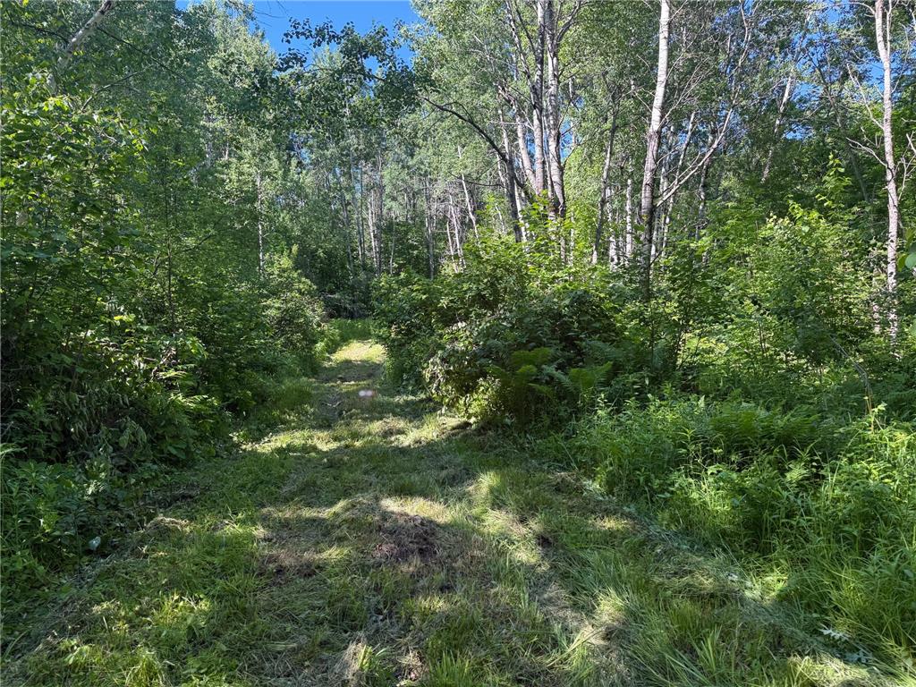 2359 County Road 8 Clear Creek Unorg. Terr. MN 55749 7110564 image35