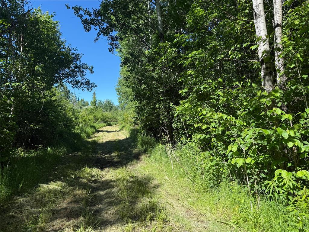 2359 County Road 8 Clear Creek Unorg. Terr. MN 55749 7110564 image36