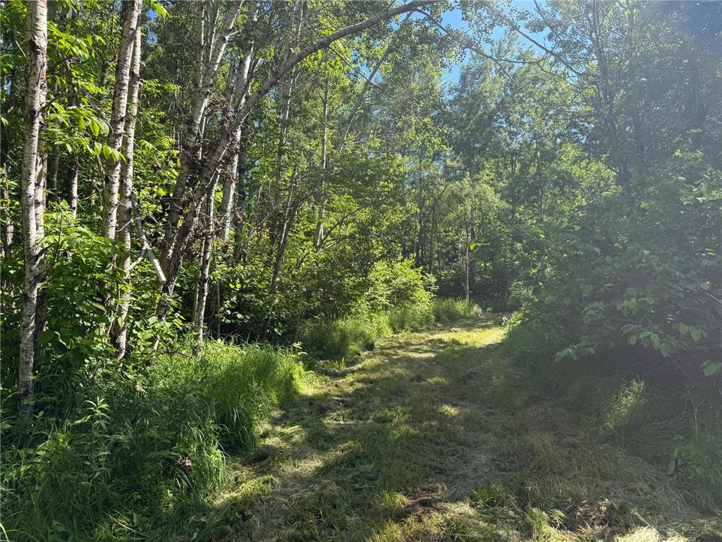 2359 County Road 8 Clear Creek Unorg. Terr. MN 55749 7110564 image37