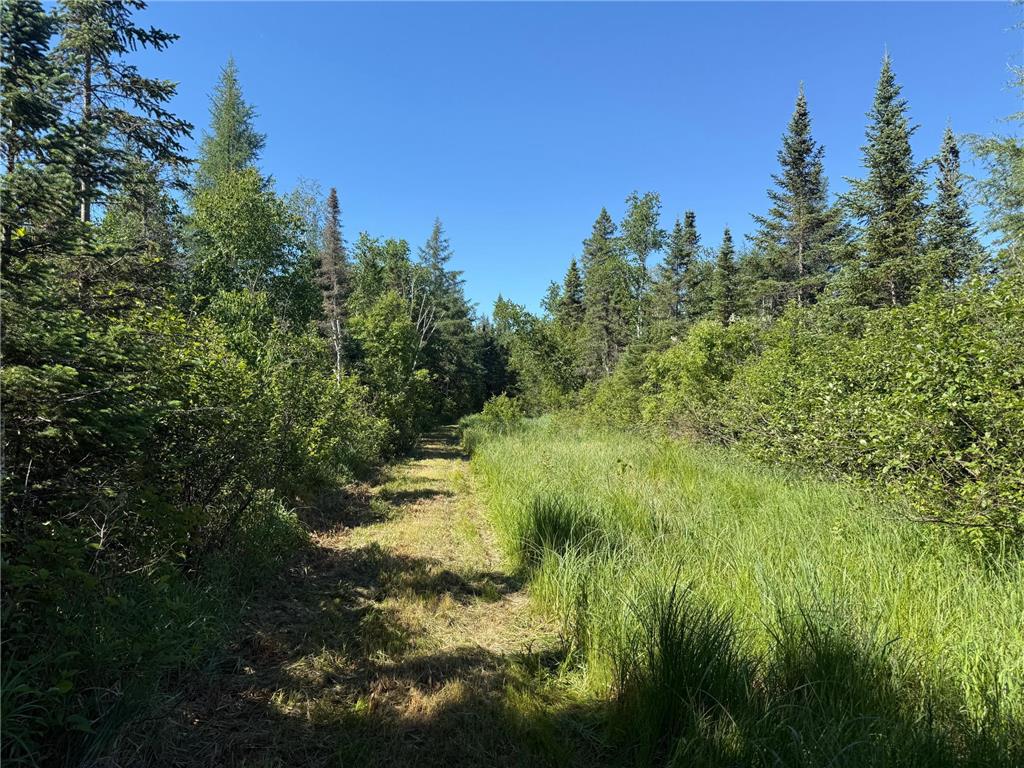 2359 County Road 8 Clear Creek Unorg. Terr. MN 55749 7110564 image38