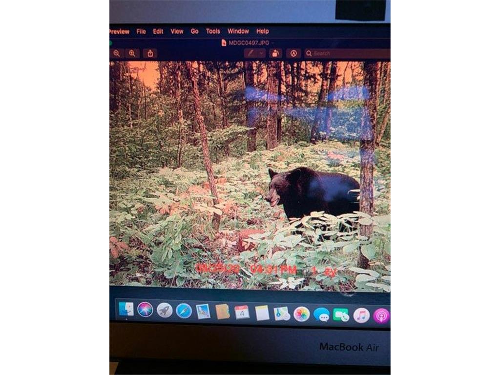 2359 County Road 8 Clear Creek Unorg. Terr. MN 55749 7110564 image39