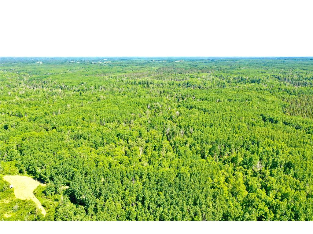 2359 County Road 8 Clear Creek Unorg. Terr. MN 55749 7110564 image4