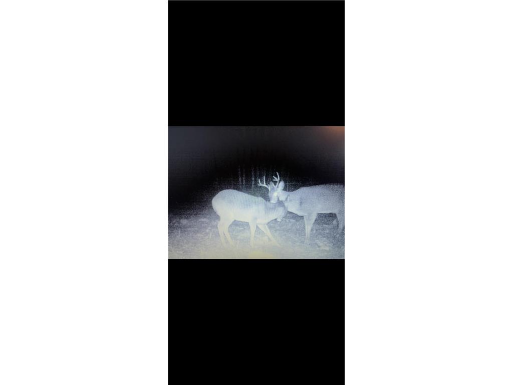 2359 County Road 8 Clear Creek Unorg. Terr. MN 55749 7110564 image45