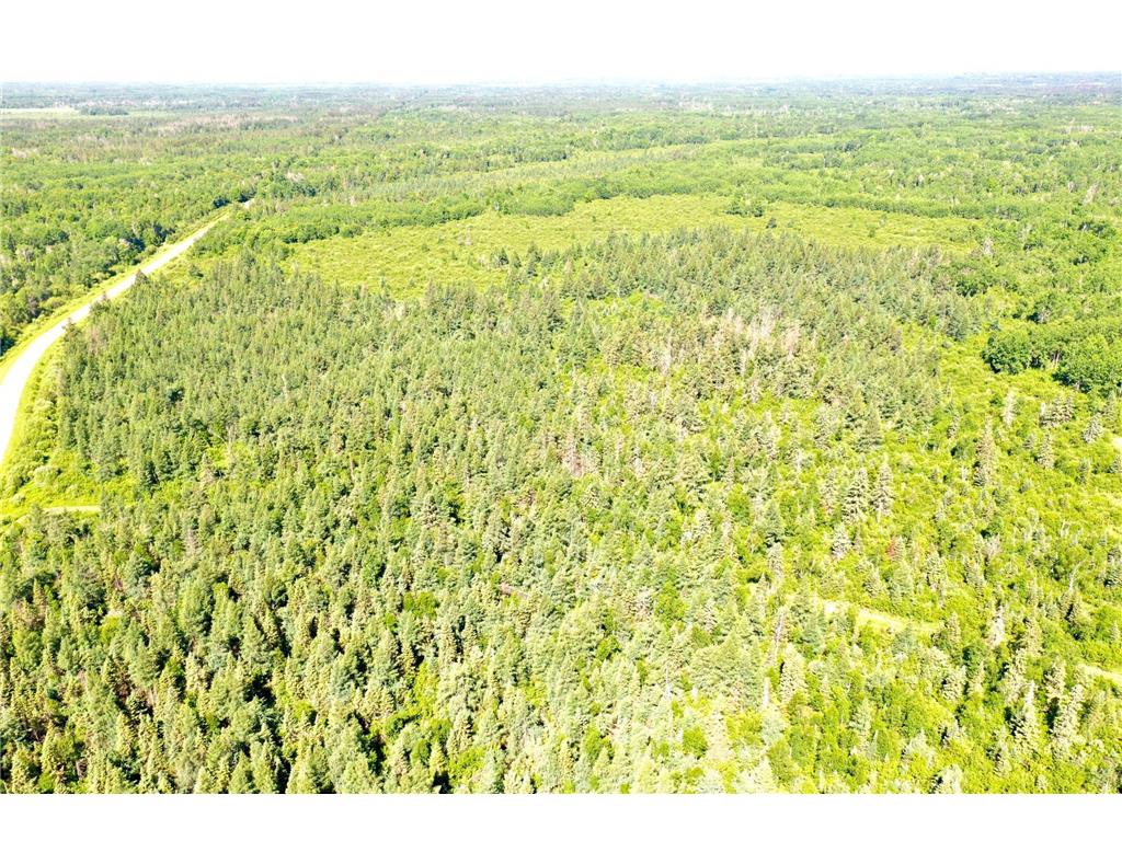 2359 County Road 8 Clear Creek Unorg. Terr. MN 55749 7110564 image5