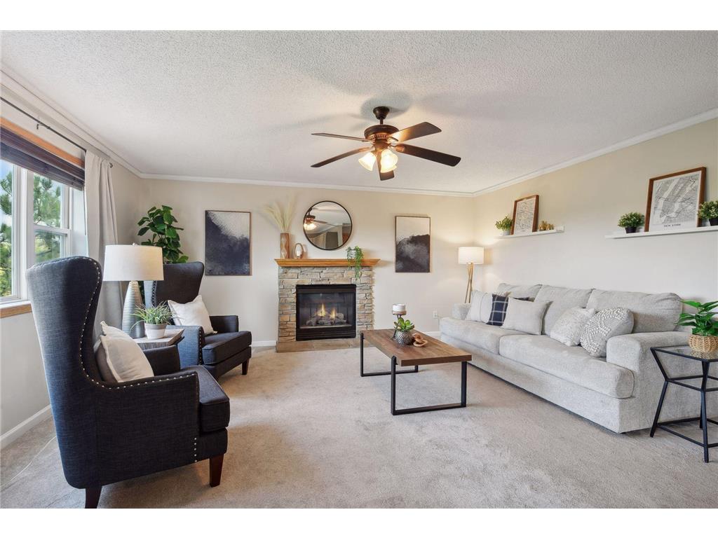 236 Butternut Circle Carver MN 55315 6601113 image1