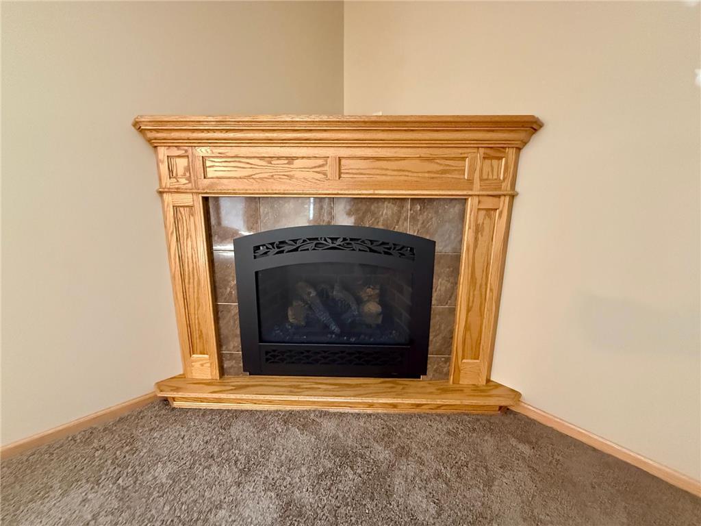 236 Wilson Street Alden MN 56009 6819358 image4