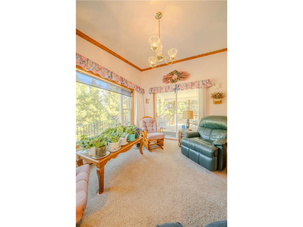 23600 335th Avenue Bruce Twp MN 56382 7063635 image16