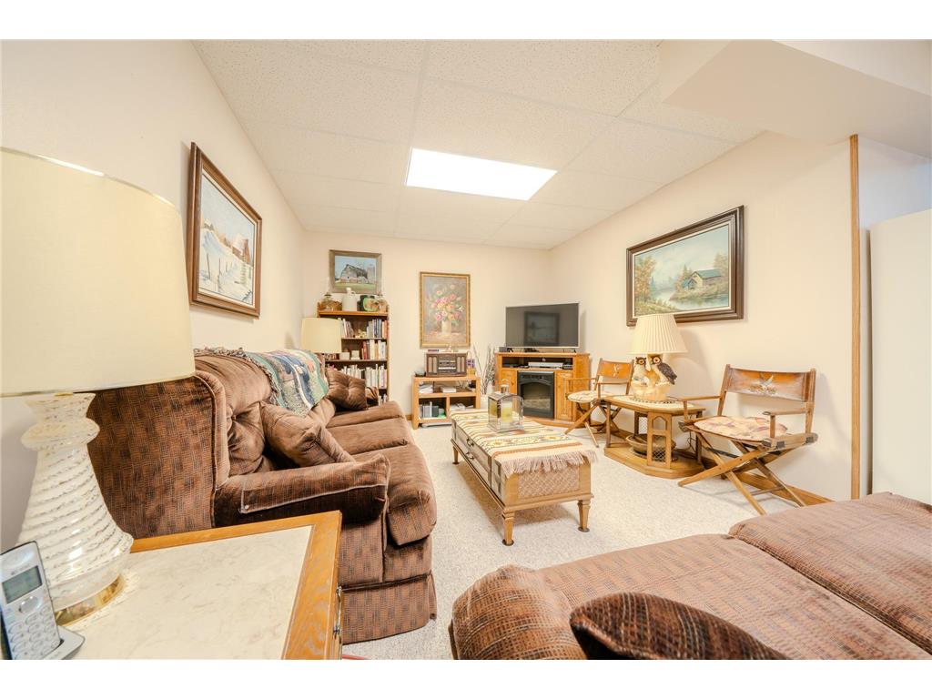 23600 335th Avenue Bruce Twp MN 56382 7063635 image46
