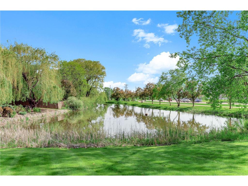 2361 Stone Creek Drive Chanhassen MN 55317 7078791 image46