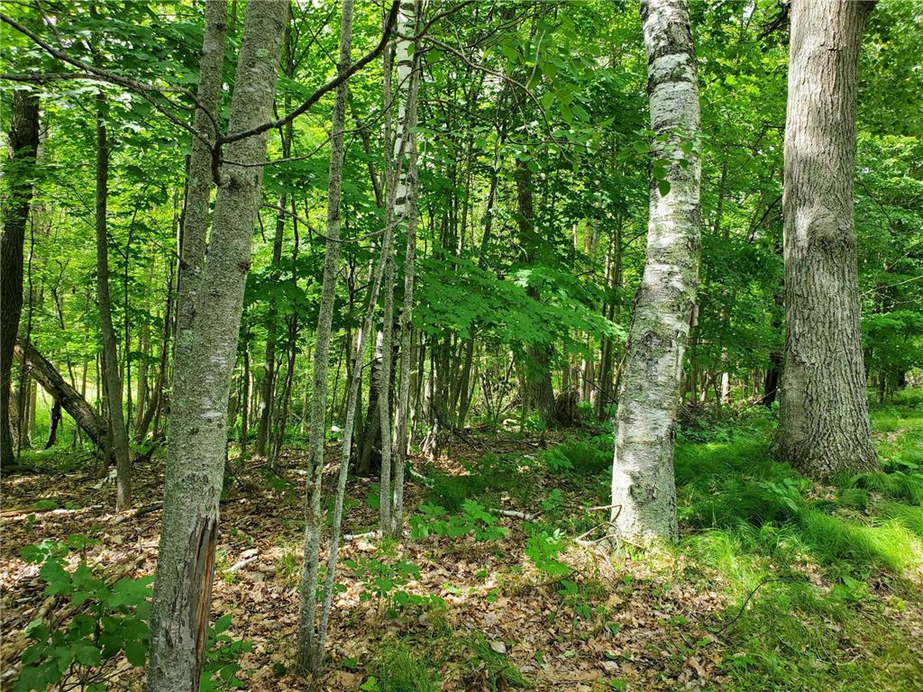 23635 County Road 36 Emily MN 56447 - Rogers Lake 6742765 image24