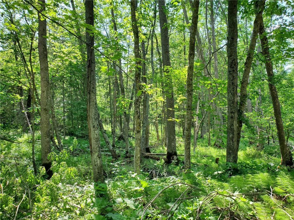 23635 County Road 36 Emily MN 56447 - Rogers Lake 6742765 image25