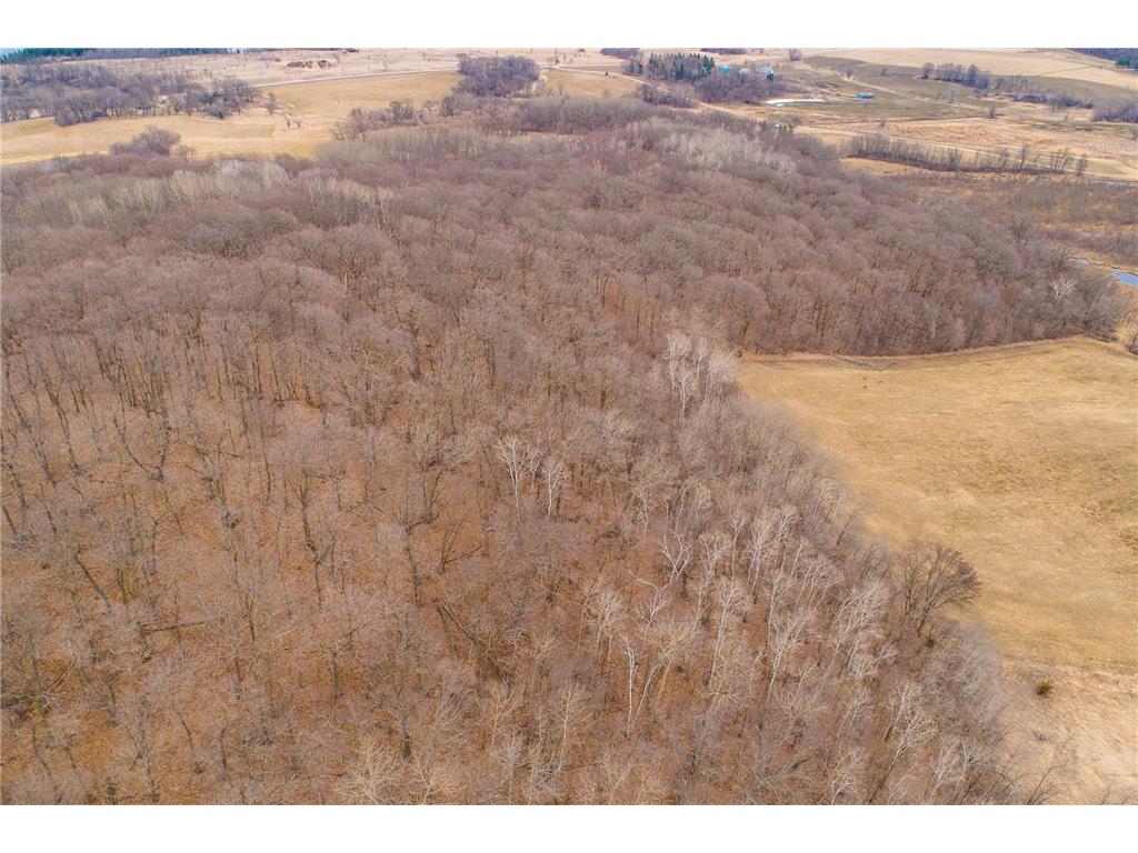 23667 380th Street Maplewood Twp MN 56572 7068806 image101