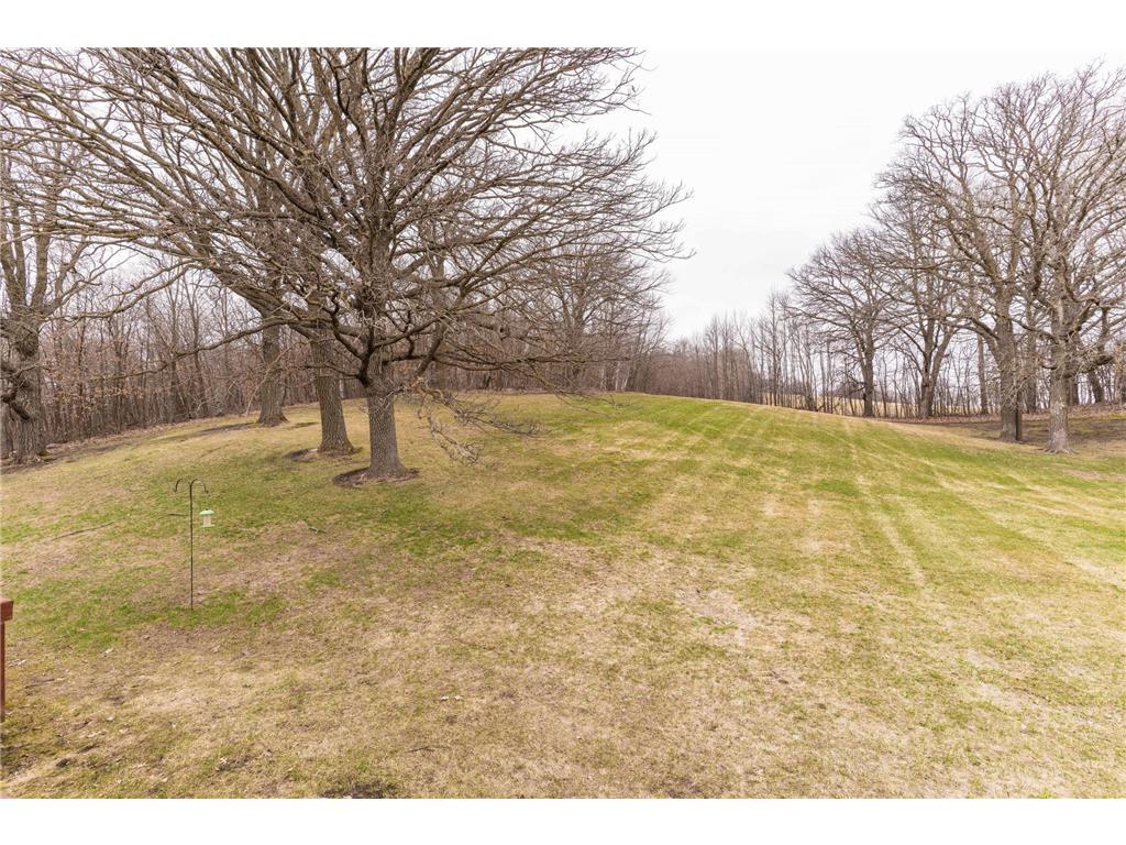23667 380th Street Maplewood Twp MN 56572 7068806 image57