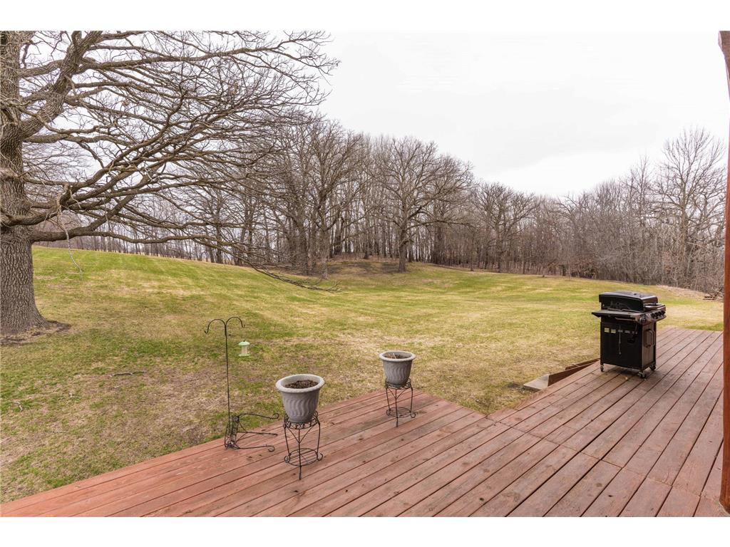 23667 380th Street Maplewood Twp MN 56572 7068806 image58