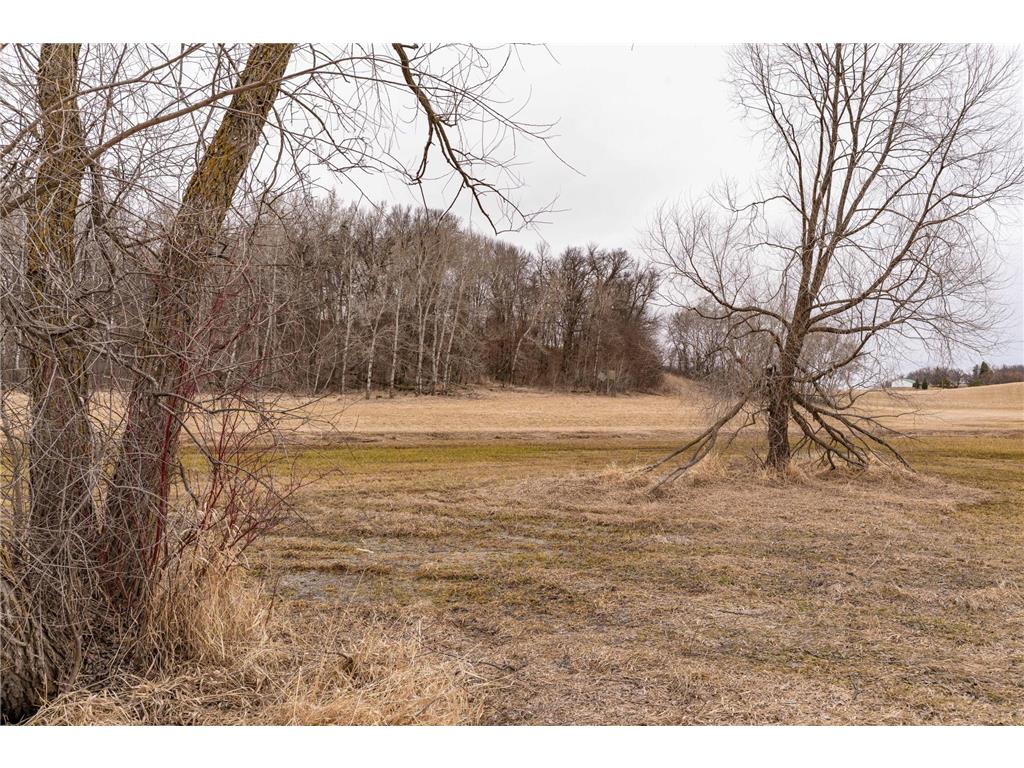 23667 380th Street Maplewood Twp MN 56572 7068806 image73