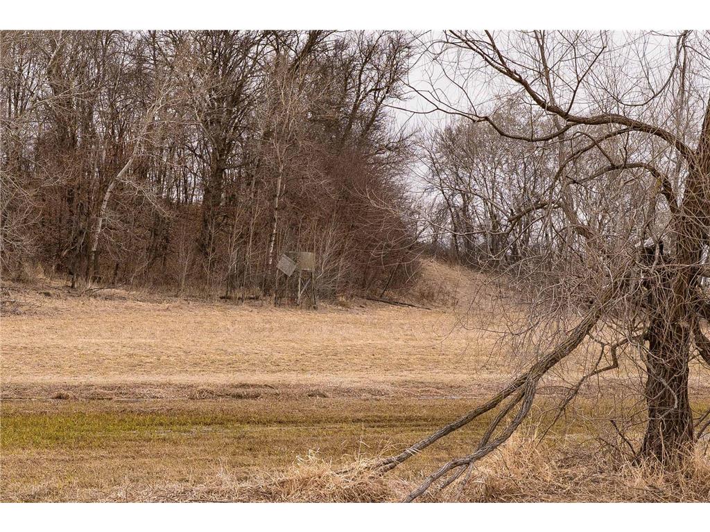 23667 380th Street Maplewood Twp MN 56572 7068806 image74